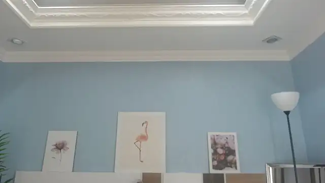 Snapshot of salome_veles chatting on 07.24.26 salome veles online show from 07.24.26