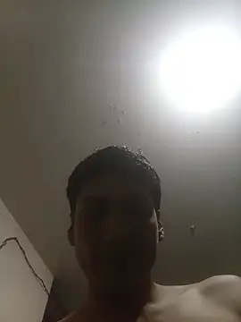 bxbicho20 online show from 07.25.26