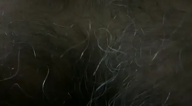 SatBull007 online show from 01.18.25