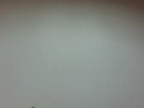 LiaBellini online show from 07.28.26