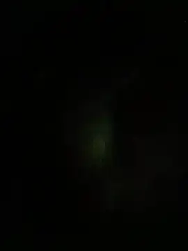 dddauxuxn online show from 07.19.26