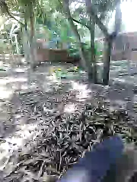 mutrox50 online show from 02.24.25