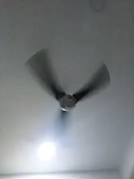 mutrox50 online show from 01.10.26