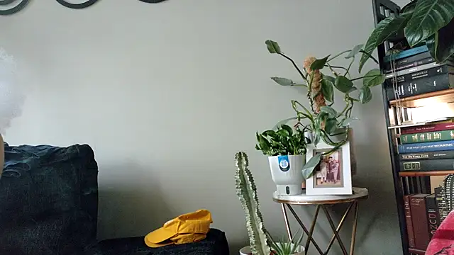 bestofdoseswirls online show from 04.08.26