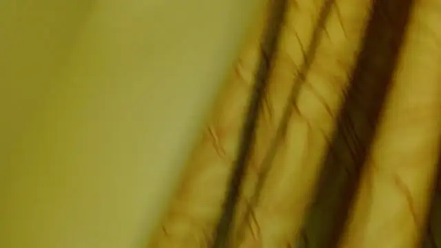 Snapshot of digbicku chatting on 10.12.25 digbicku online show from 10.12.25