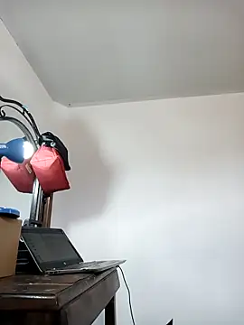 Snapshot of africa_deluxe chatting on 02.20.26 africa deluxe online show from 02.20.26