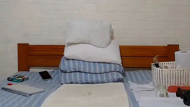 awild kitten online show from 12.15.24