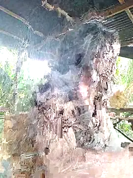 loveuu-bae online show from 10.23.25