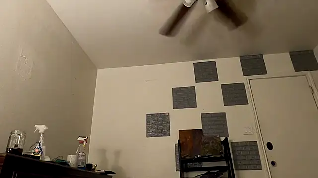 TheDaisyChaos online show from 03.14.25