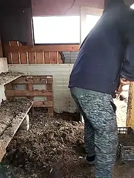 sarpe4 online show from 02.28.26