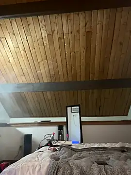 odbodu online show from 11.23.25