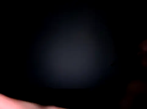 malpka25 online show from 01.07.26