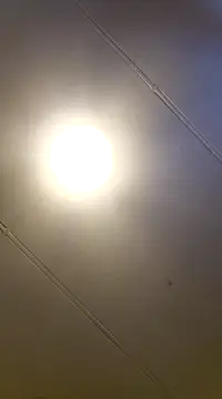 Snapshot of PinkTheHawk chatting on 01.11.25 PinkTheHawk online show from 01.11.25