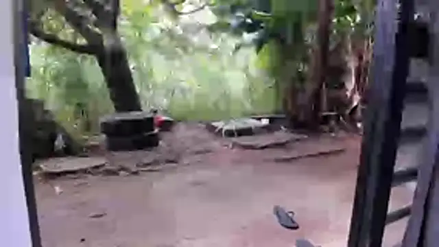 venusandzeusxh online show from 12.16.25