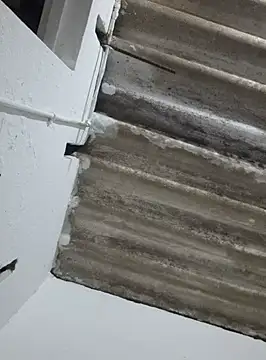 Snapshot of DAELAA chatting on 02.18.25 DAELAA online show from 02.18.25