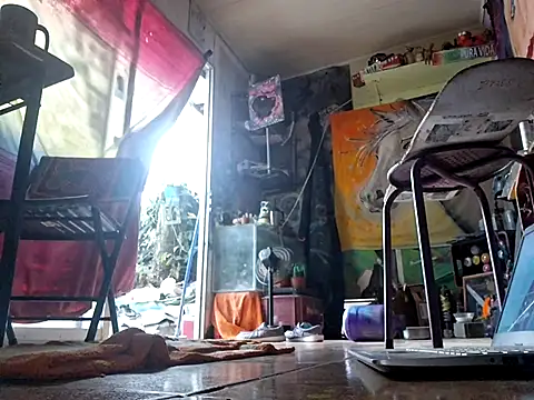 Toycockhot online show from 03.10.25