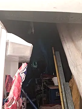 Toycockhot online show from 12.02.25