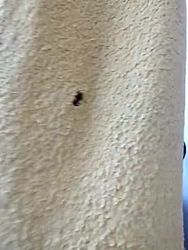 david geam online show from 03.20.26