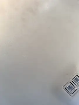 Snapshot of Tristris100 chatting on 12.23.24 Tristris100 online show from 12.23.24