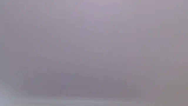 florida0217 online show from 07.27.26