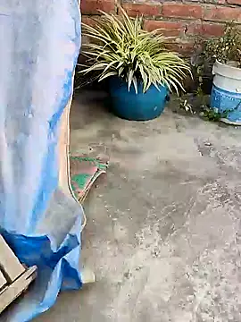 Snapshot of indianSmartboy chatting on 12.21.24 indianSmartboy online show from 12.21.24