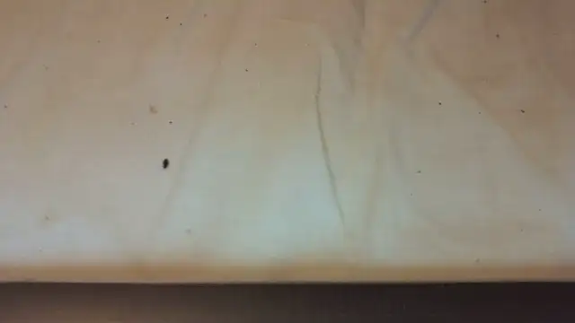 Helly97 online show from 10.23.25