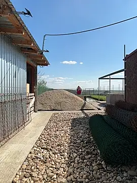 SabinaSweety online show from 04.10.26