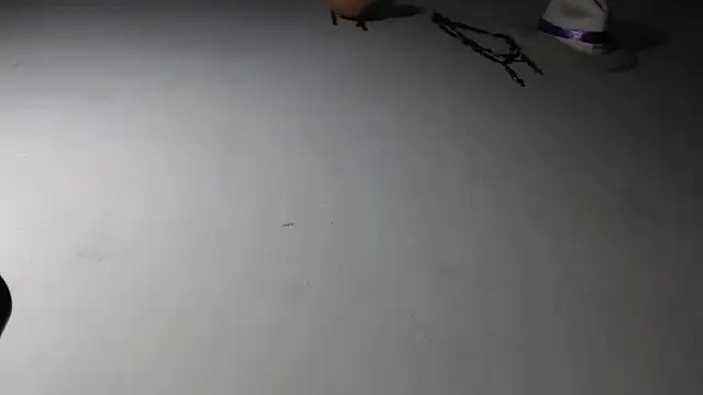 adrixxx38 online show from 01.17.26