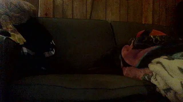 Ryoko Momoko online show from 11.01.25