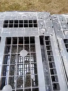 Ethangay online show from 06.01.26