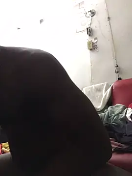 livepro online show from 12.10.24