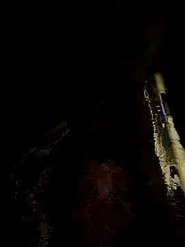 tropikboy online show from 11.25.25