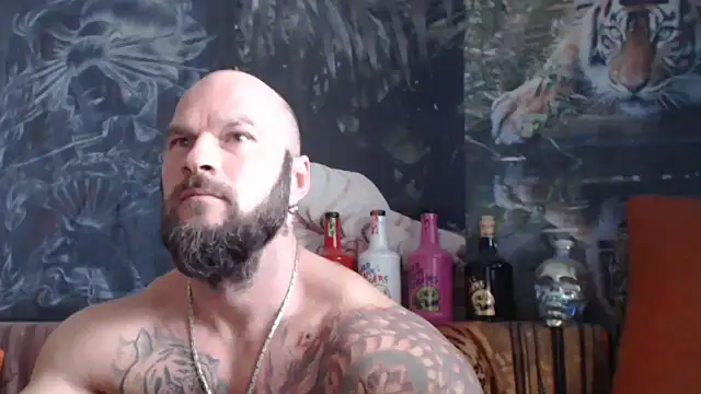 viking 30 online show from 10.02.25