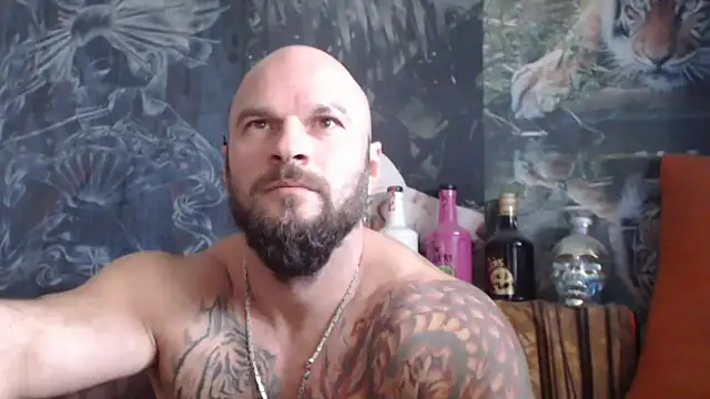 viking 30 online show from 10.13.25