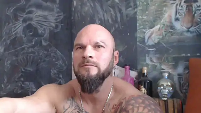 viking 30 online show from 11.06.25