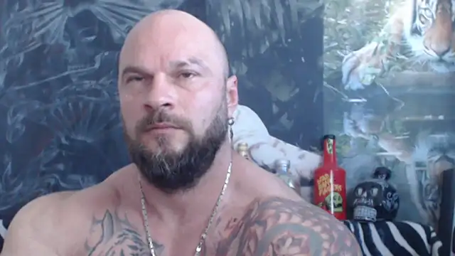 viking 30 online show from 06.08.26
