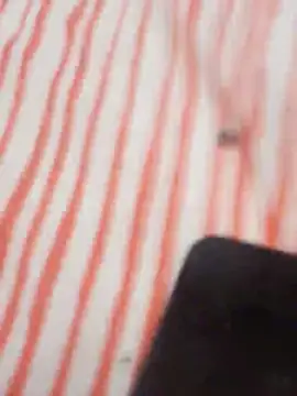 MRbigc23 online show from 05.31.26