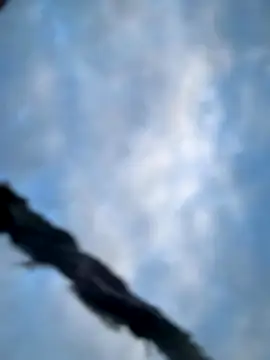 Model9798 online show from 10.22.25