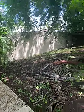 JohnnyBigShot online show from 09.28.25