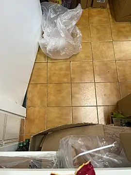 Mindnorthcam2 online show from 02.16.26