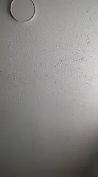 6lue6a6y69 online show from 02.03.25