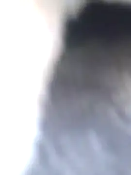 Snapshot of Dirtyfeelin chatting on 01.27.25 Dirtyfeelin online show from 01.27.25