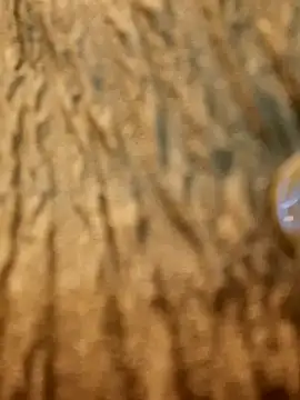 Snapshot of Dirtyfeelin chatting on 02.13.25 Dirtyfeelin online show from 02.13.25