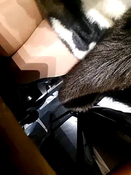 Snapshot of Dirtyfeelin chatting on 11.18.25 Dirtyfeelin online show from 11.18.25