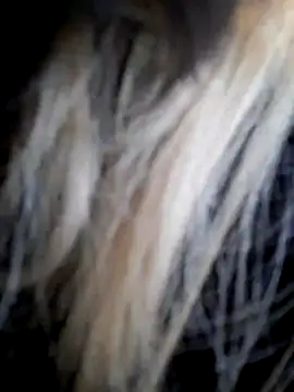 Snapshot of Dirtyfeelin chatting on 12.14.25 Dirtyfeelin online show from 12.14.25