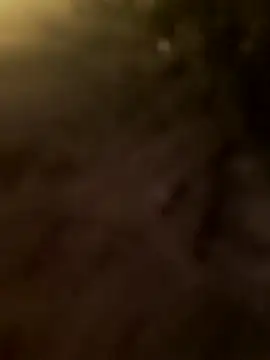 Snapshot of Dirtyfeelin chatting on 02.26.26 Dirtyfeelin online show from 02.26.26