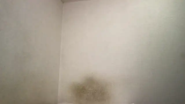 Magicwordsforme online show from 03.15.25