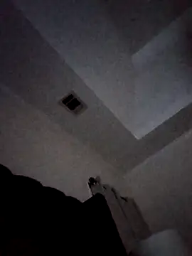 PrinceNoAlbert online show from 11.27.25