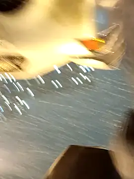 Krasav4ik4ik online show from 01.11.25