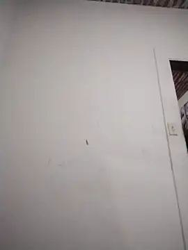 catdool online show from 02.06.26